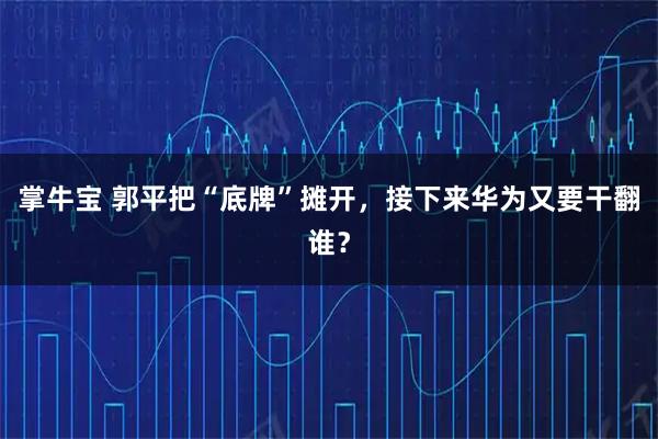 掌牛宝 郭平把“底牌”摊开,接下来华为又要干翻谁?