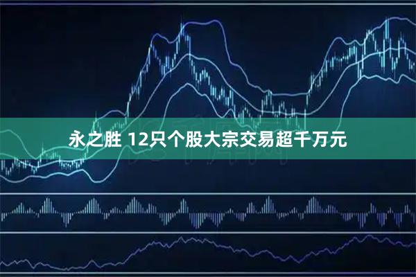 永之胜 12只个股大宗交易超千万元