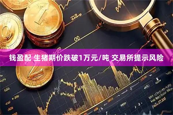 钱盈配 生猪期价跌破1万元/吨 交易所提示风险