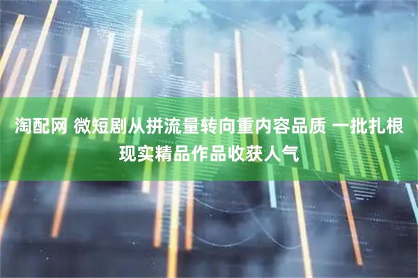 淘配网 微短剧从拼流量转向重内容品质 一批扎根现实精品作品收获人气